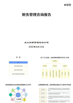 財(cái)務(wù)管理咨詢報(bào)告 價(jià)值、內(nèi)容與獲取途徑